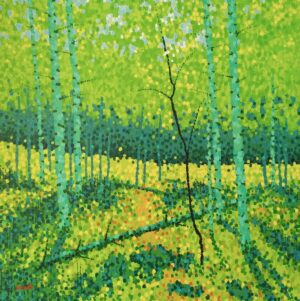 Aspen Spring - Print on 16"x16" Canvas