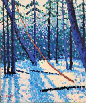 Sunlight Dancing in a Winter Wood